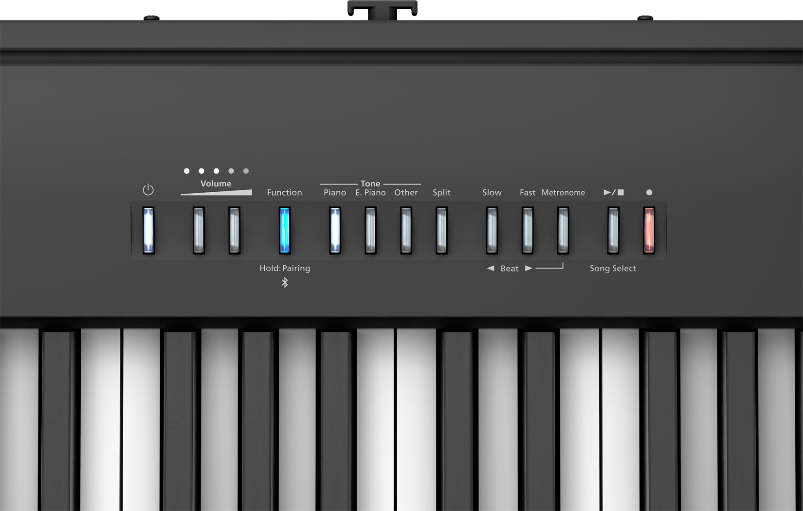 FP-30X BK Schwarz FP-30X BK Schwarz