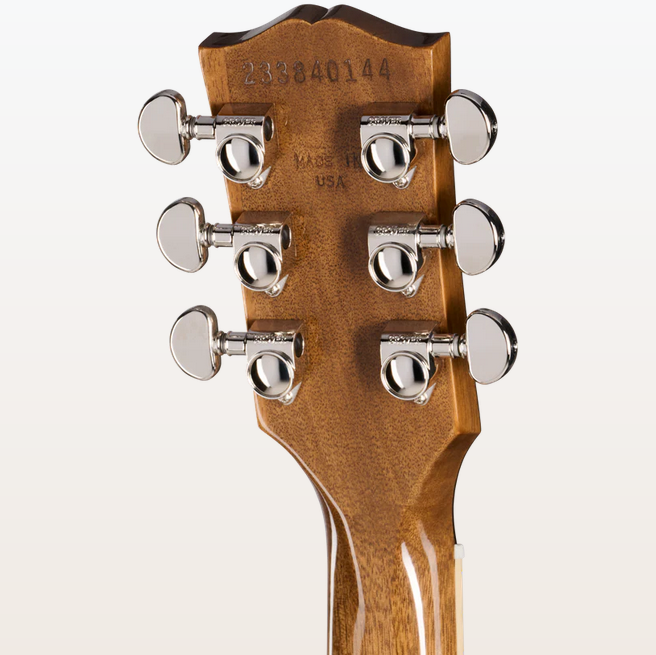 Les Paul Standard 60s Double Trouble Vintage Honey Burst