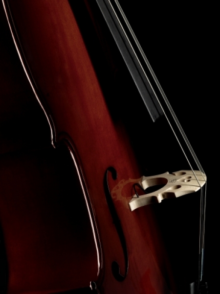 Tonabnehmer für Cello C-200 Concert Series