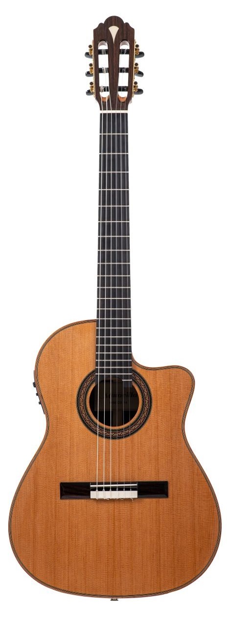 M 50 CE 14-Fret Zeder
