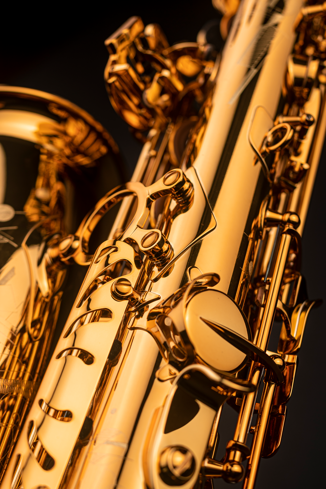 Signature Altsaxophon Goldlack