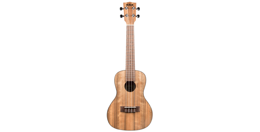 Pacific Walnut Concert Ukulele with Bag (UB-C)