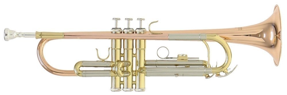 TR-202G Trompete Goldmessing