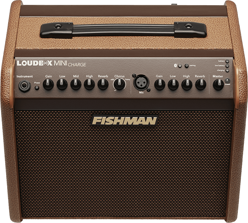 Loudbox Mini Charge