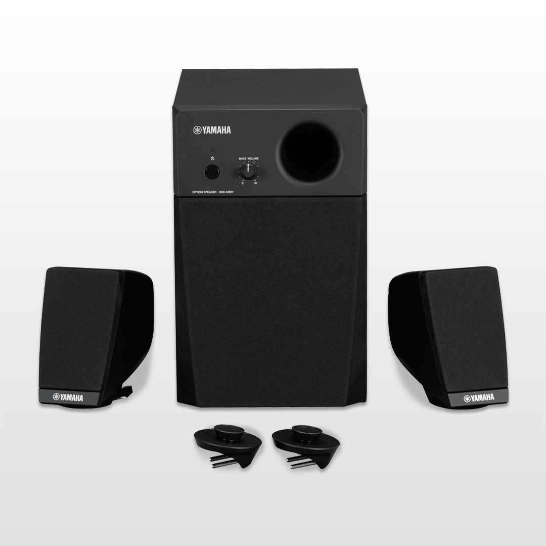 GNS-MS01 Speaker System