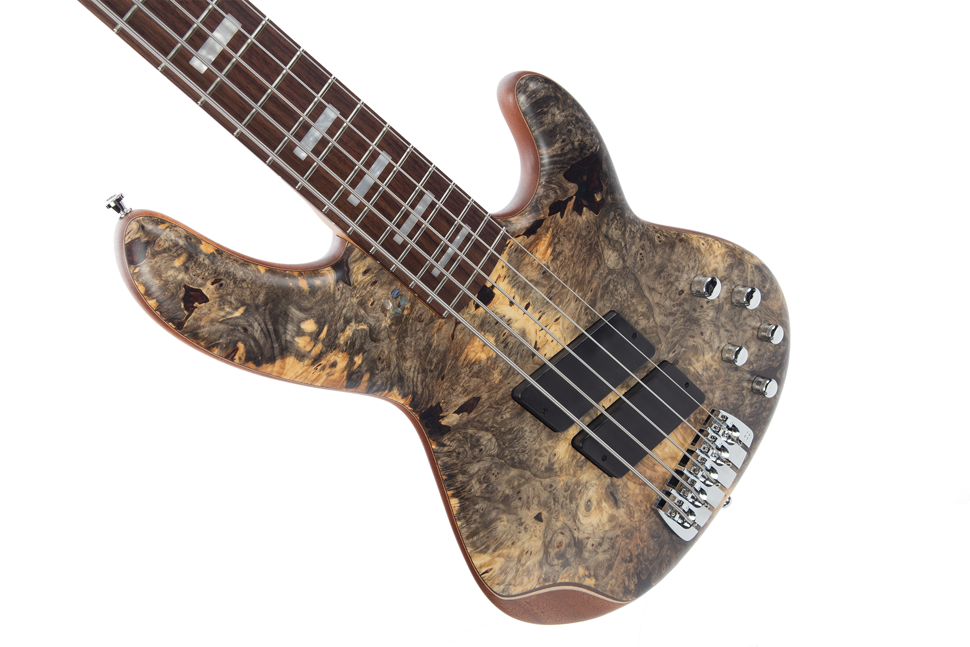Panther Special 5-String