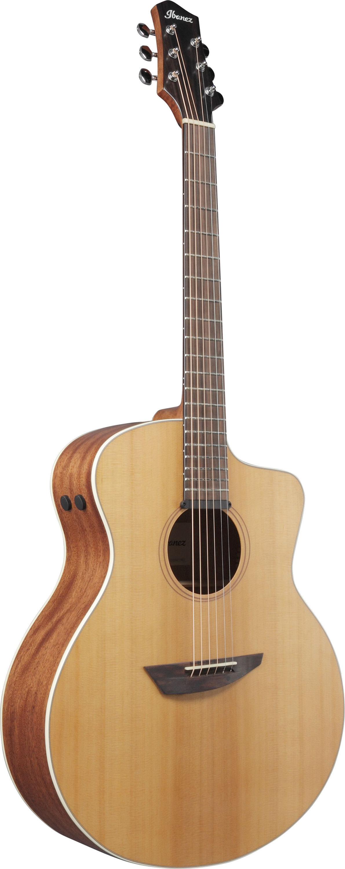 PA230E-NSL inkl. Gig Bag