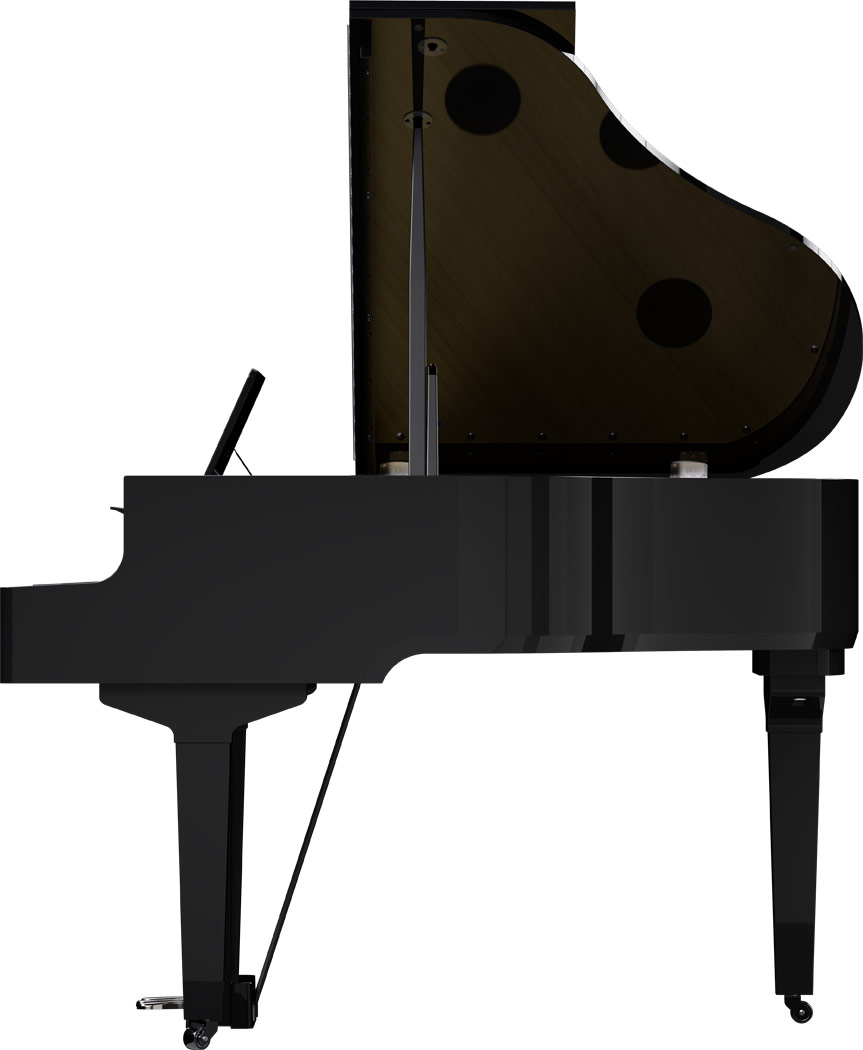 GP-9 PE Polished ebony