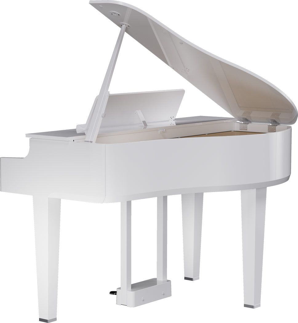GP-6 PW Polished White