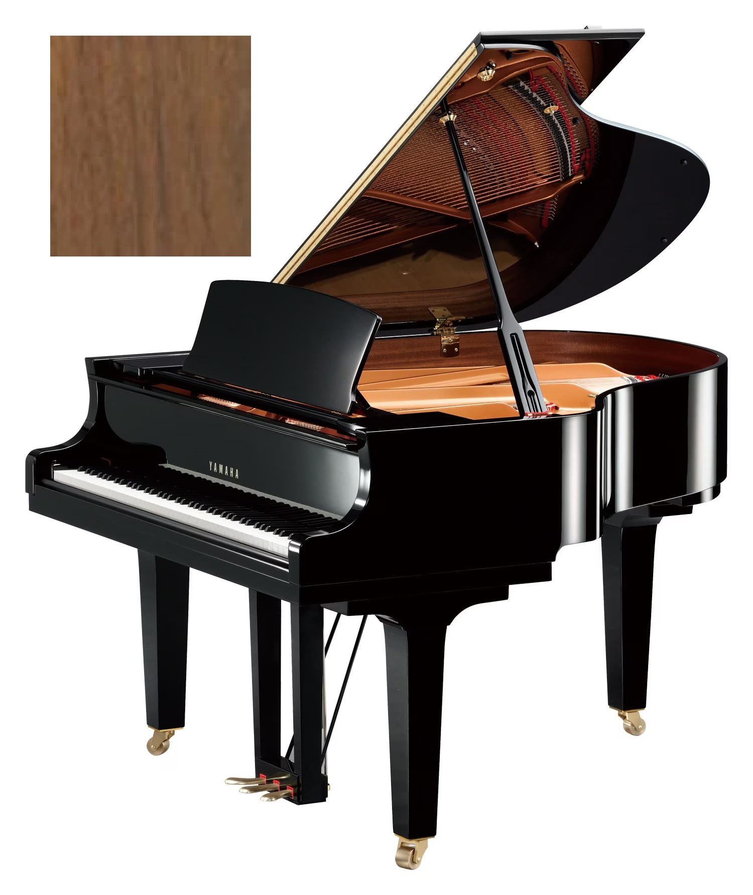 C 1 X TA3 SAW TransAcoustic Nussbaum seidenmatt
