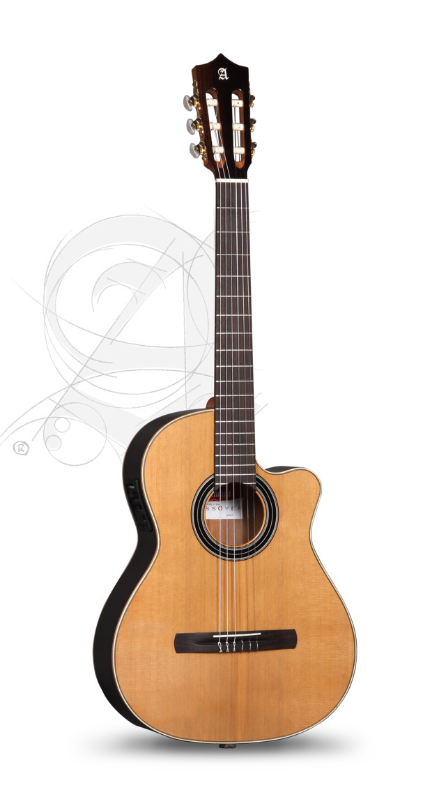 CS-LR CW E1 inkl. Gigbag