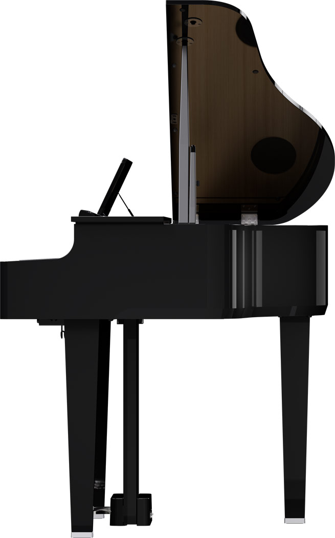 GP-6 PE Polished ebony