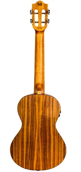 Victoria Soundwave Concert