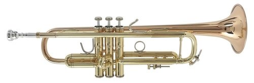 LR180-43G ML Trompete Stradivarius Goldmessing