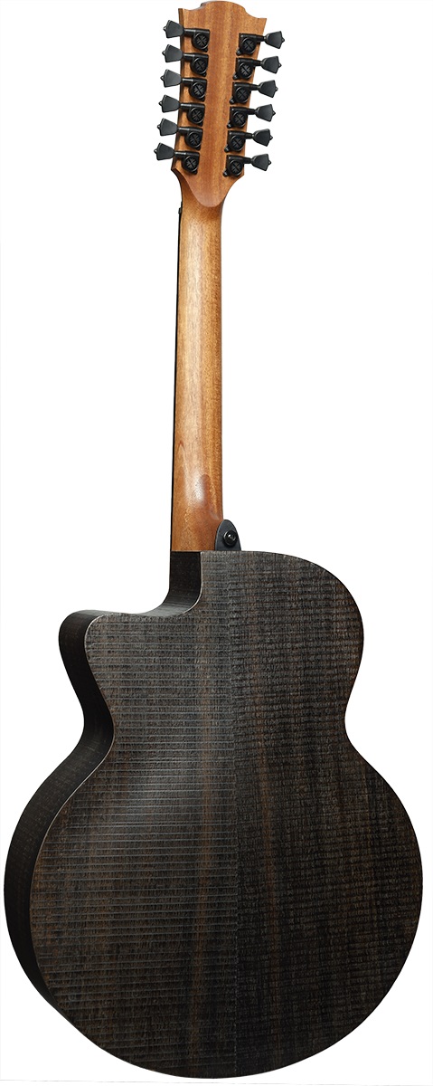 Sauvage 12-String mit Pickup